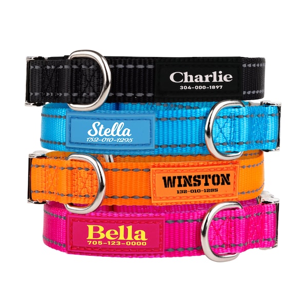 Embroidered Dog Collar With Name and Number Etsy