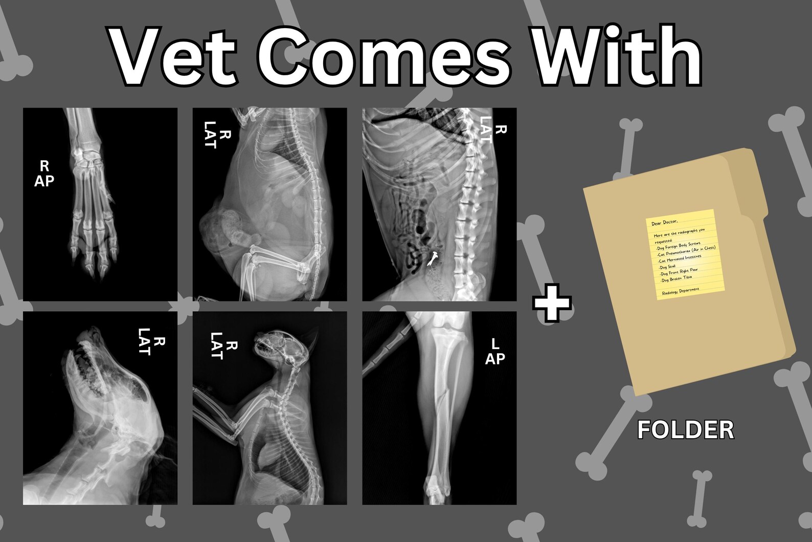 Physical Play X-rays Best Quality Pretend Radiographs for Kids Doctor ...