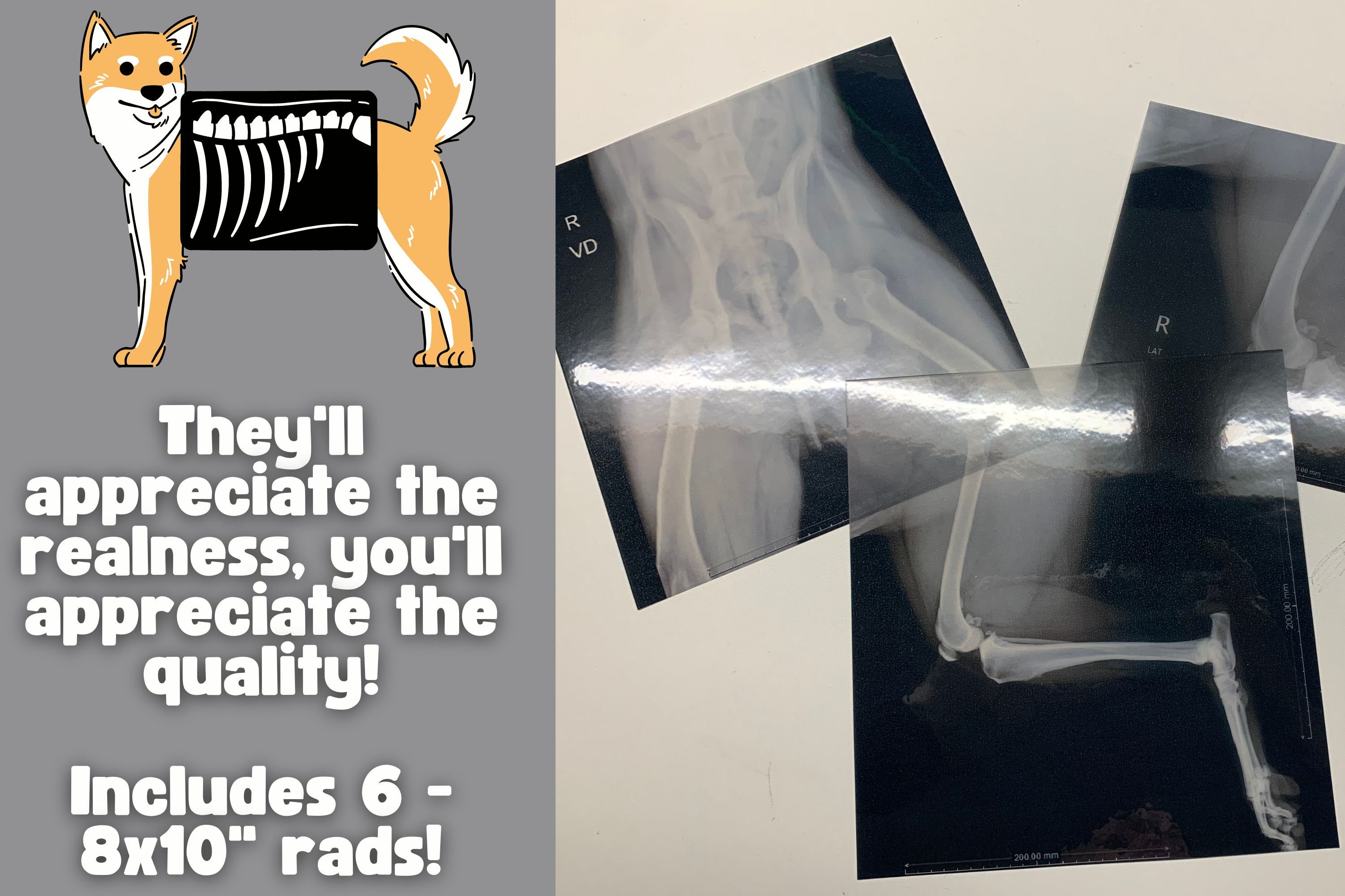 Play X-rays Best Quality Pretend Radiographs for Kids Doctor ...