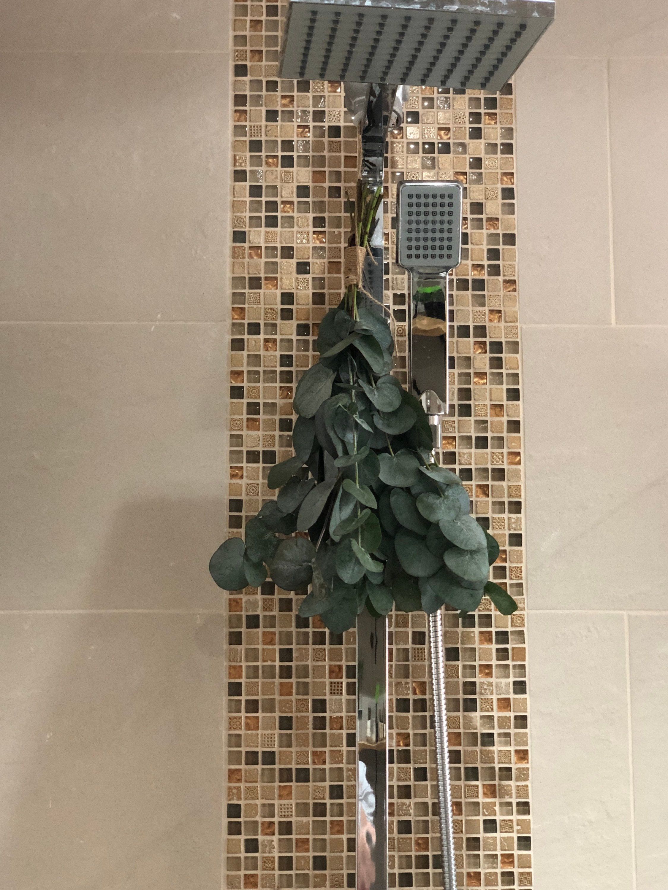 Shower Eucalyptus Bundle 100 Fresh shower therapy. Etsy