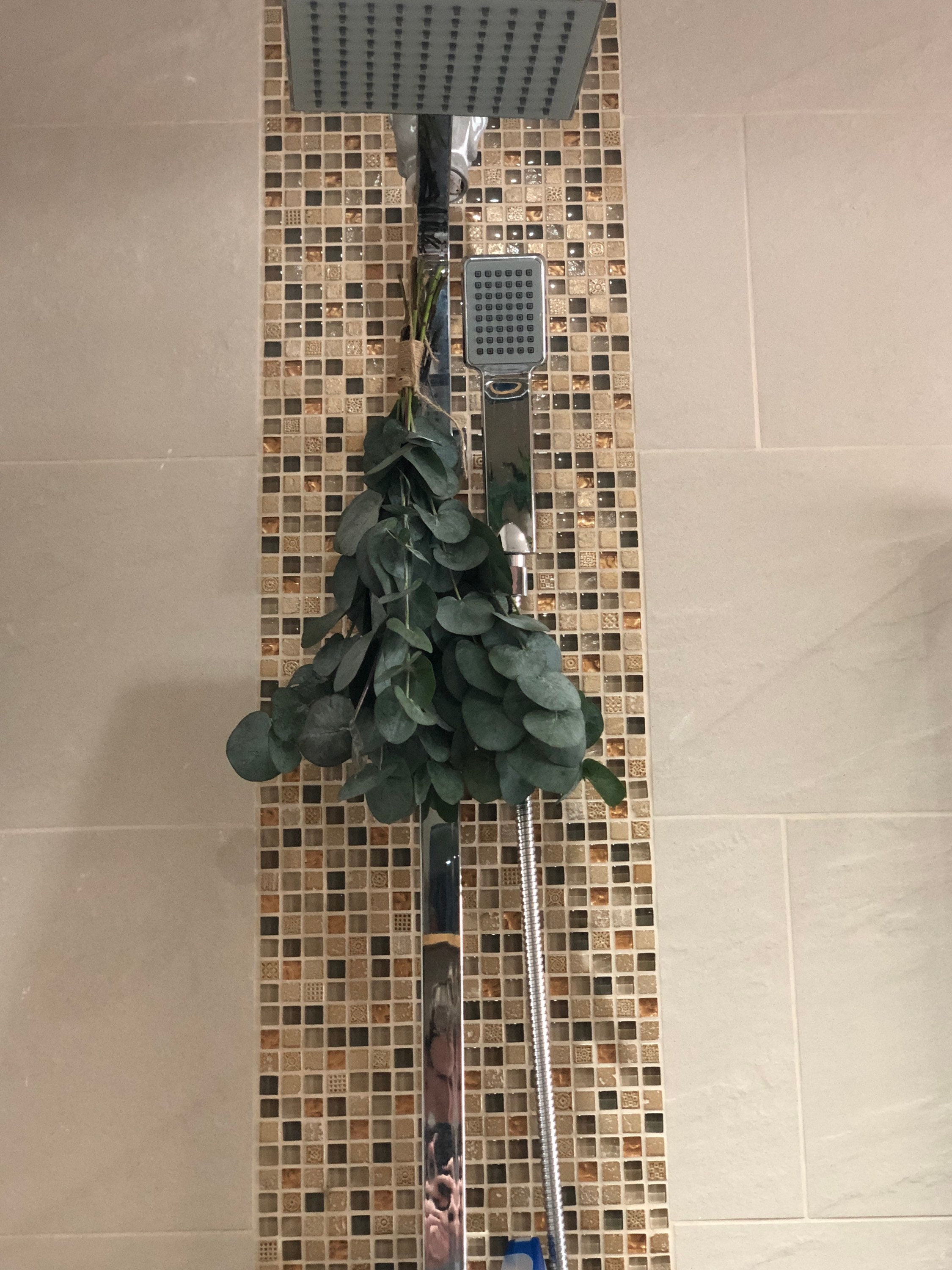 Shower Eucalyptus Bundle 100 Fresh shower therapy. Etsy