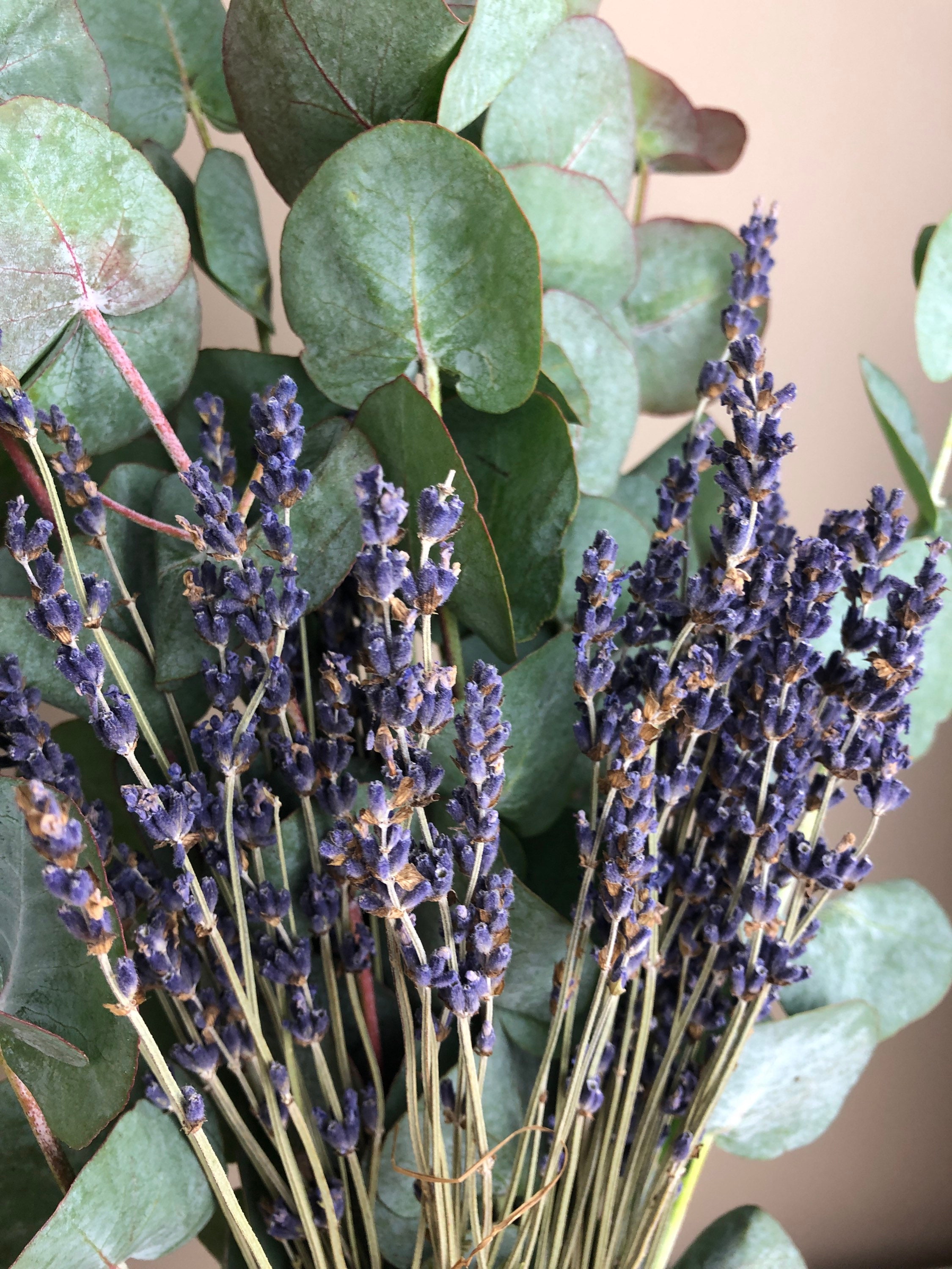 Eucalyptus and Lavender Bouquet Incredible Smell Free Etsy