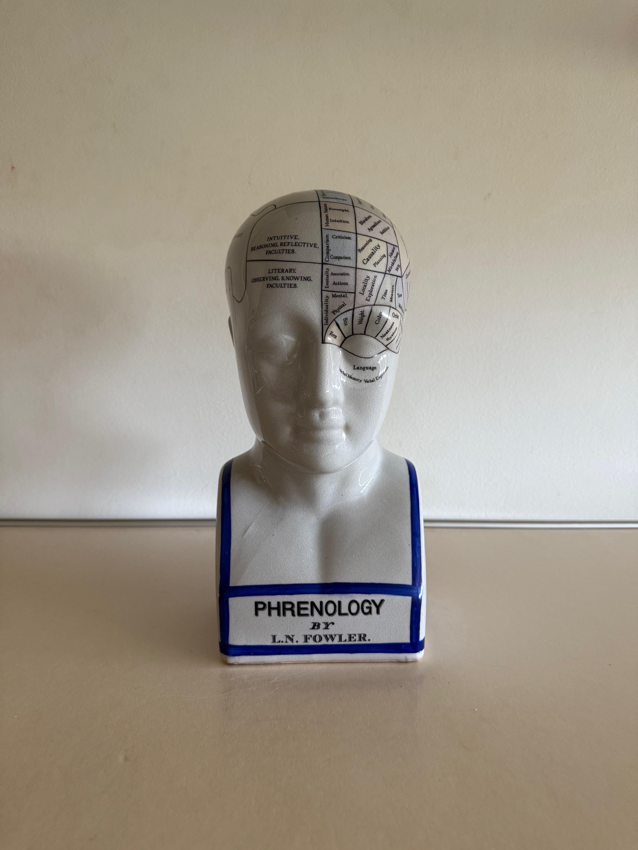 Phrenology Head 骨相学 頭部模型 陶器製 アンティーク Phrenology Head Figurine - Etsy