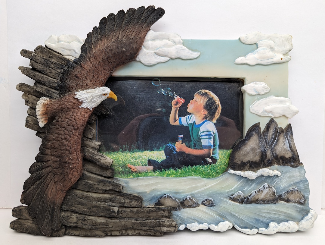Vintage Bald Eagle Picture Frame Etsy
