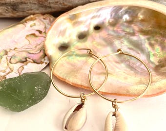 Gold or silver cowrie Shell Hoop Earrings. Cowrie Shell Earrings.