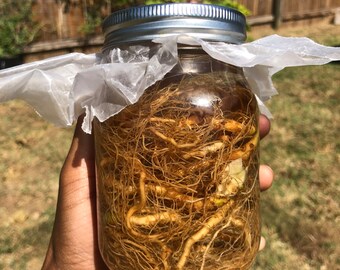 Ashwagandha Tincture