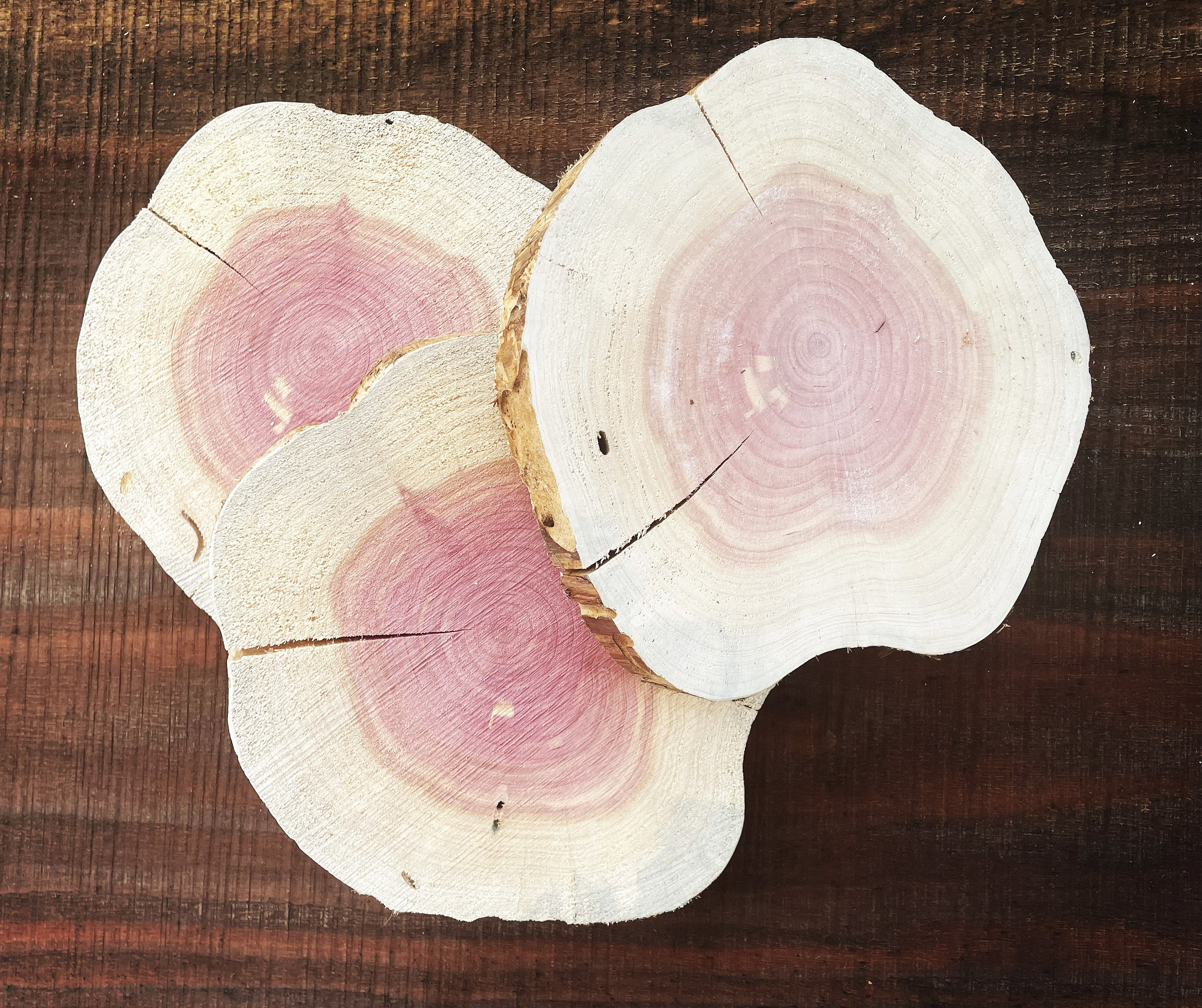 Aromatic Eastern Cedar Rounds wood slices for centerpieces and Etsy