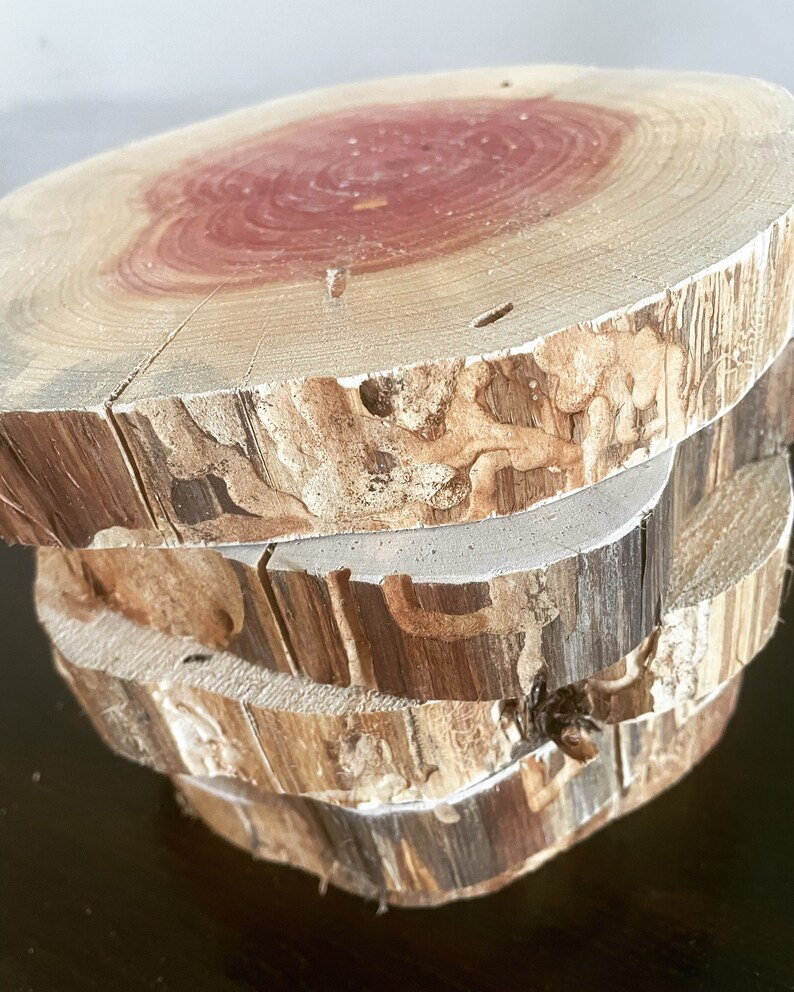 Aromatic Eastern Cedar Rounds Wood Slices for Centerpieces and Etsy