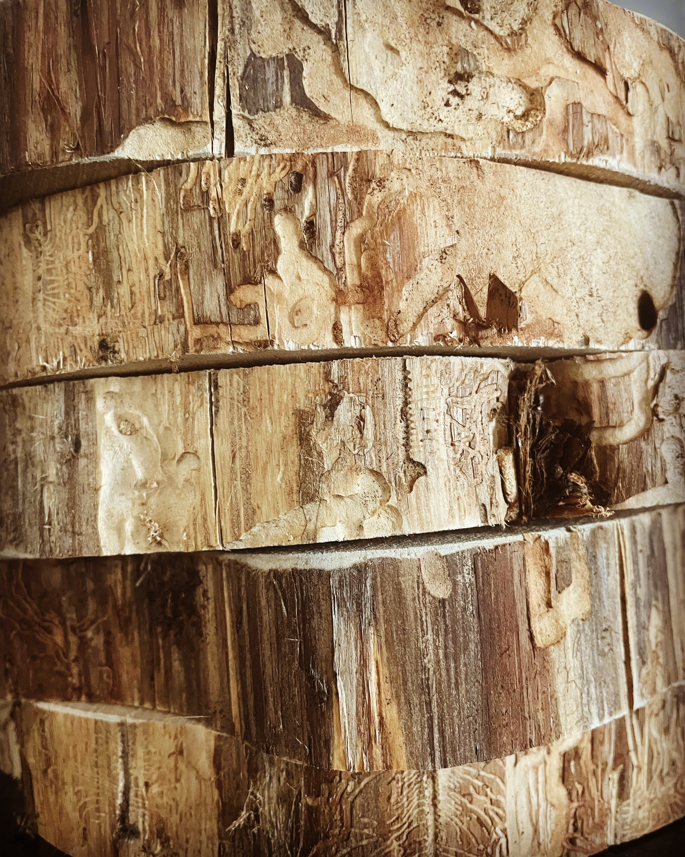 Aromatic Eastern Cedar Rounds Wood Slices for Centerpieces and so Much More  