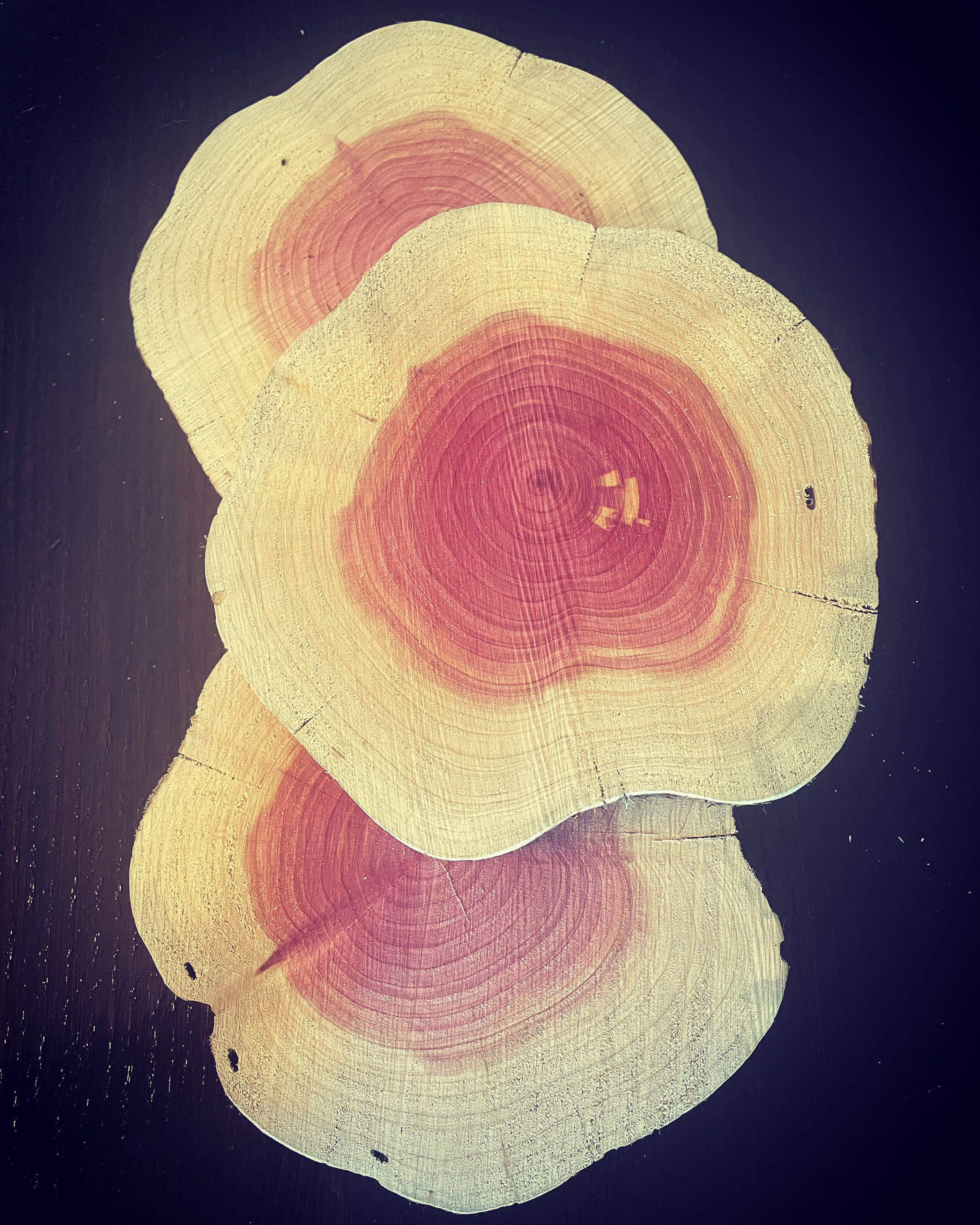 Aromatic Eastern Cedar rounds wood slices for centerpieces and Etsy