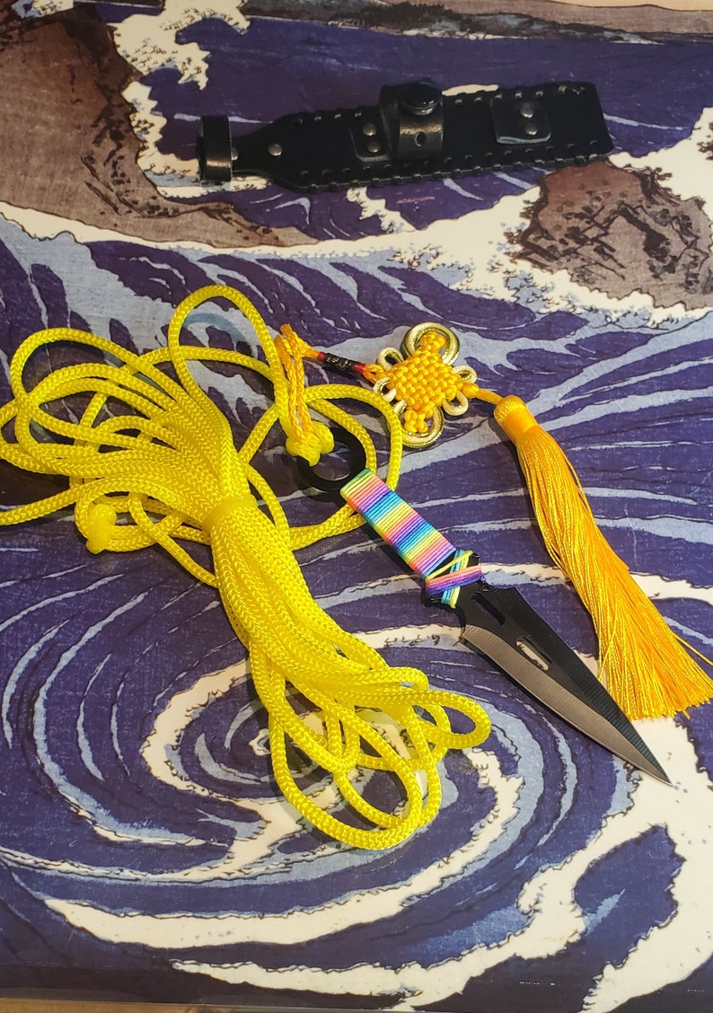 Sheng Biao Pro Level Rope Dart With Holding Sheath. 4 Meter Etsy