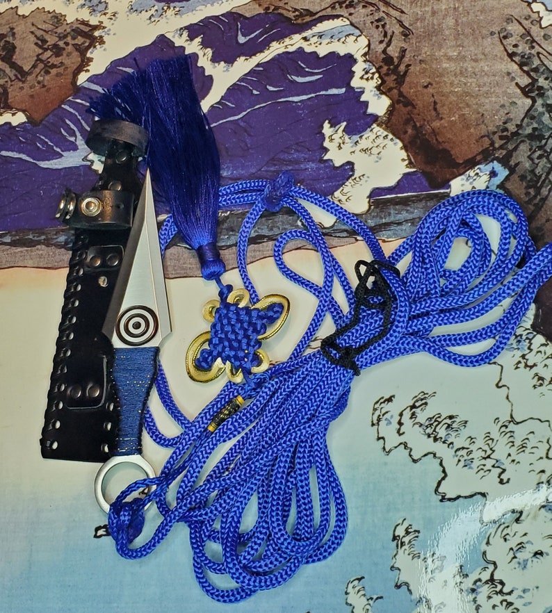 Sheng Biao Pro Level Rope Dart With Sheath. 4 Meter Blue Rope Etsy