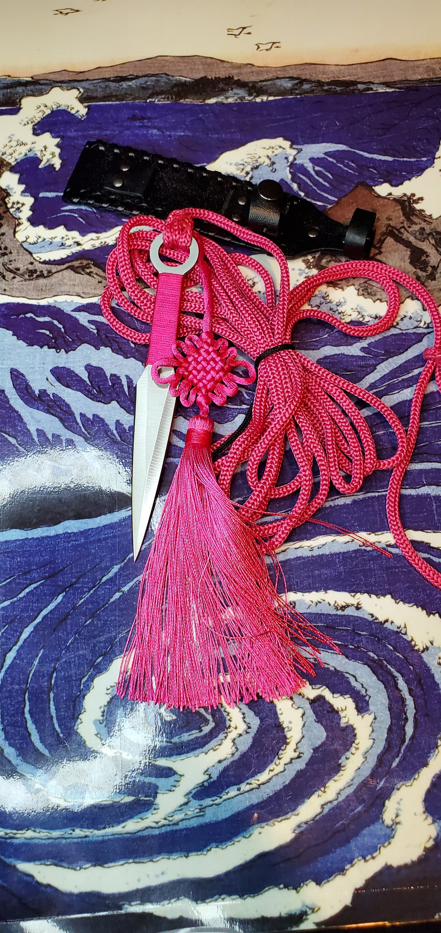 Sheng Biao Pro Level Rope Dart With Holding Sheath. 4 Meter Etsy