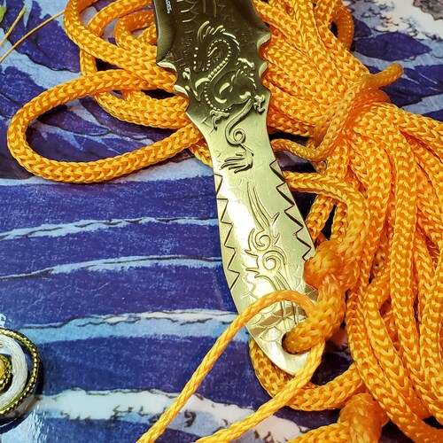 Sheng Biao Pro Level Rope Dart with Holding Sheath. 5 meter Gold Rope