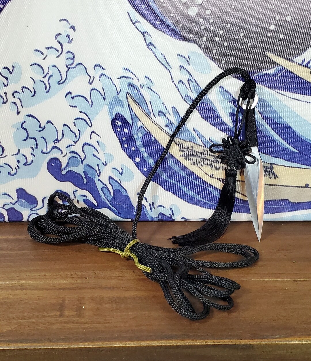 Practice Sheng Biao, Metal Rope Dart. 4m Black Rope With a Silver