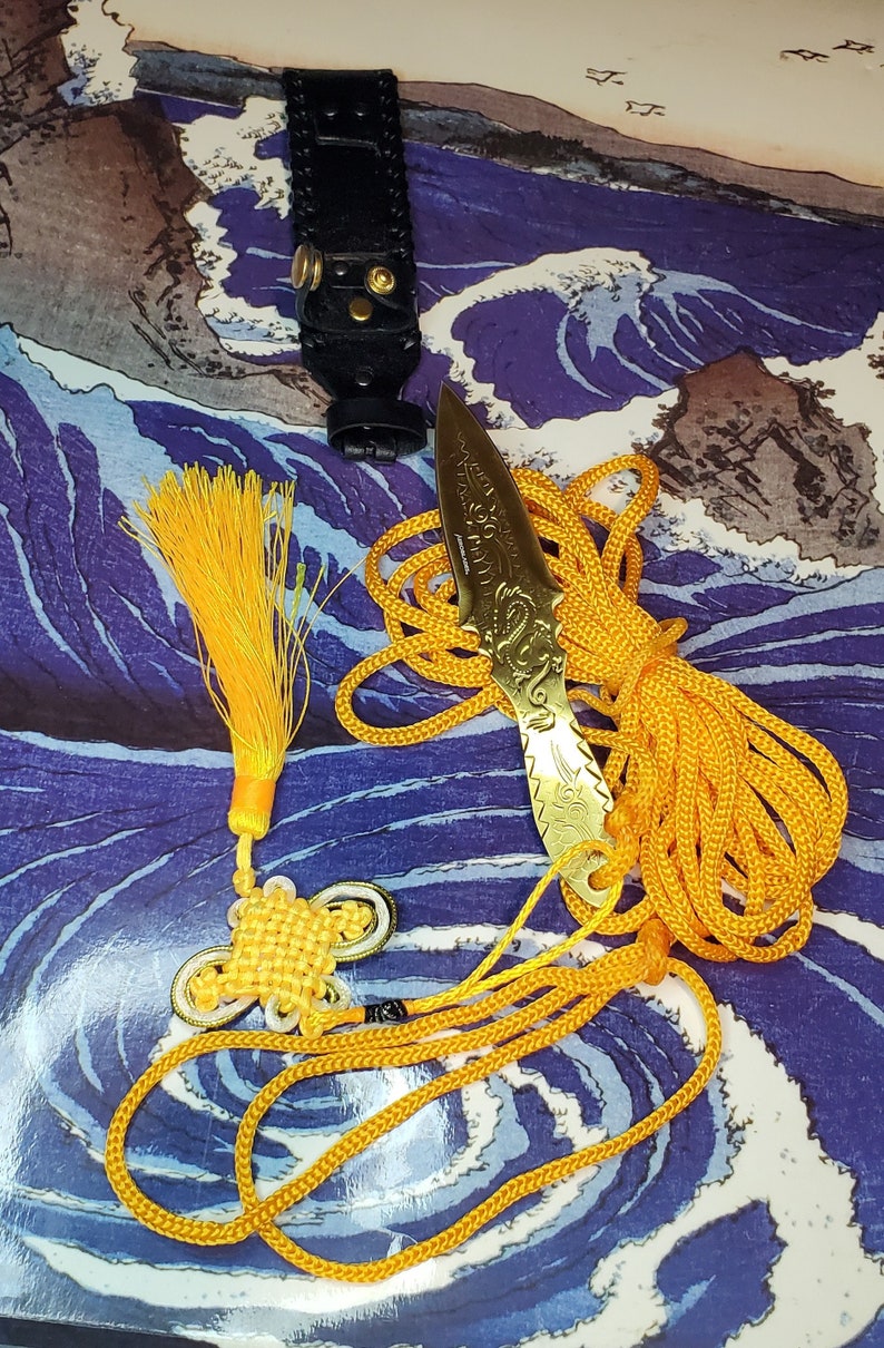 Sheng Biao Pro Level Rope Dart With Holding Sheath. 5 Meter Etsy