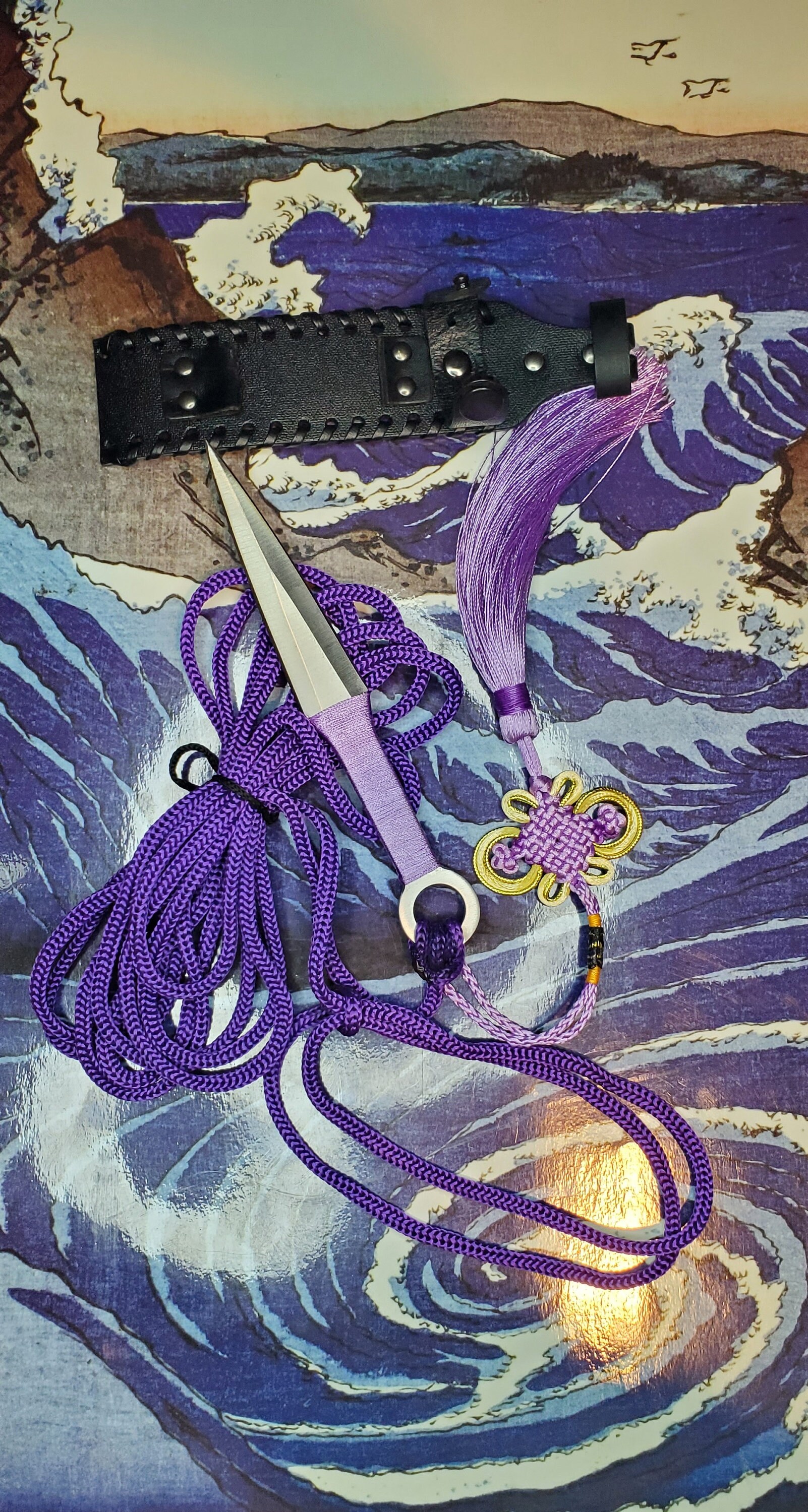 Sheng Biao, Pro Level Rope Dart With Sheath. 4 Meter Purple Rope With a