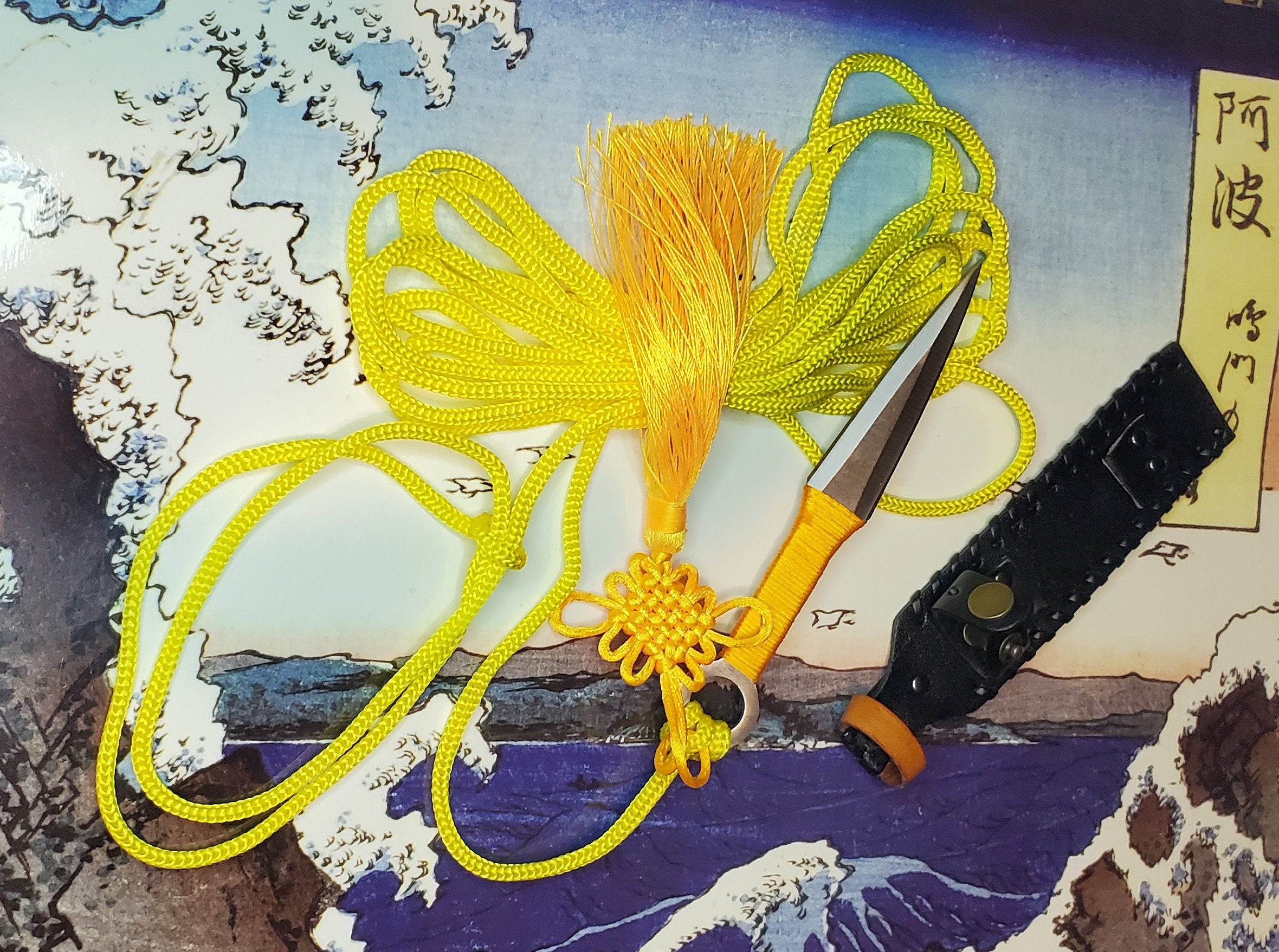 Sheng Biao Pro Level Rope Dart With Sheath. 4 Meter Lemon Etsy