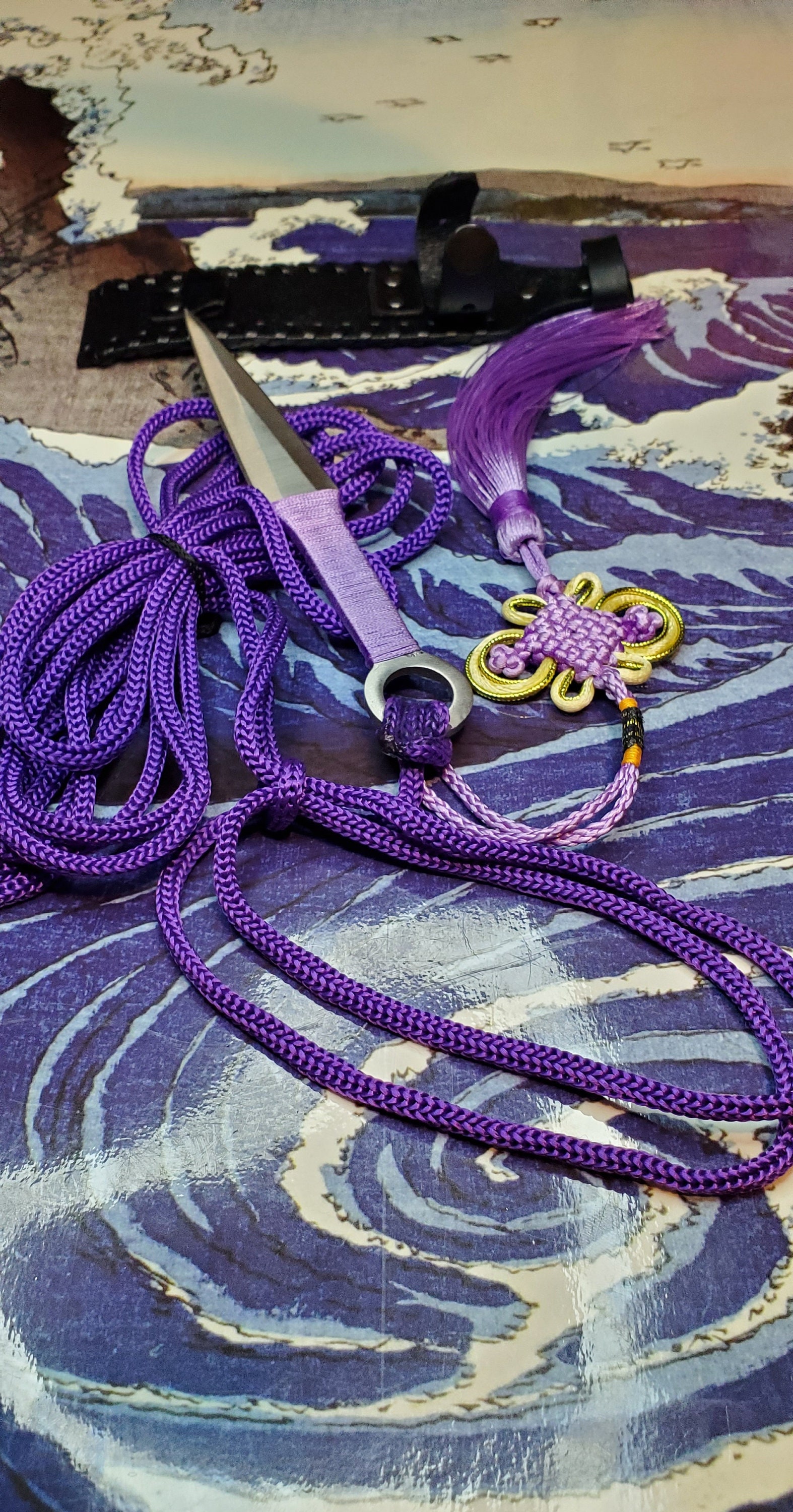 Sheng Biao, Pro Level Rope Dart With Sheath. 4 Meter Purple Rope With a