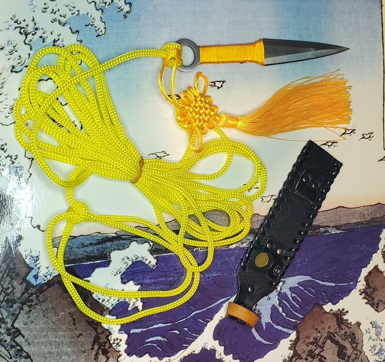 Sheng Biao Pro Level Rope Dart With Sheath. 4 Meter Lemon Etsy