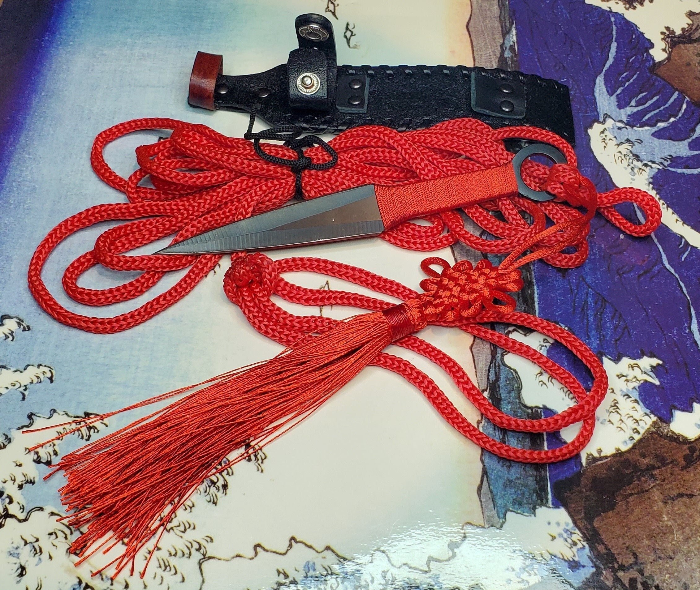 Sheng Biao Pro Level Rope Dart With Sheath. 4 Meter Red Rope Etsy