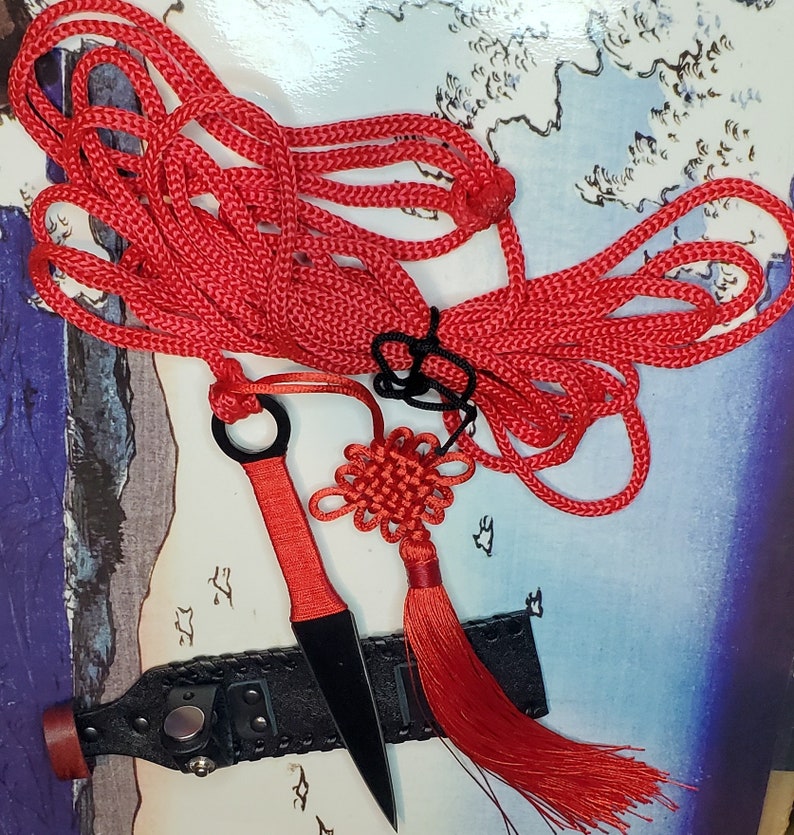 Sheng Biao Pro Level Rope Dart With Sheath. 4 Meter Red Rope Etsy