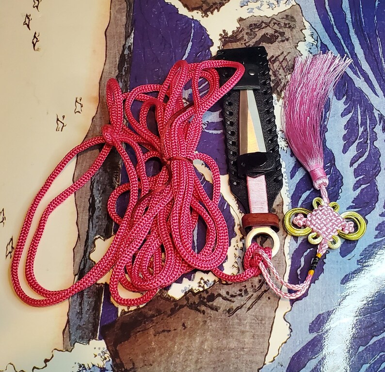 Sheng Biao Pro Level Rope Dart With Holding Sheath. 4 Meter Etsy