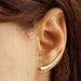 see more listings in the Ear Climbers section