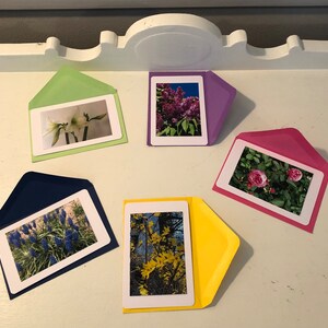 5 mini-cartes groupées (pétales et tiges)