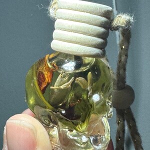 May include: A clear, skull-shaped air freshener bottle filled with a yellow liquid and dried botanicals. The bottle has a wooden cap and a rope for hanging. The skull design is detailed and visible.