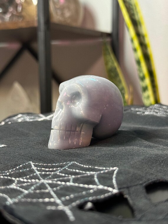 Peruvian Angelite Skull - image 6