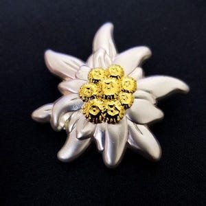May include: A silver Edelweiss flower brooch with a gold center. The center is made up of small, round, gold pieces.