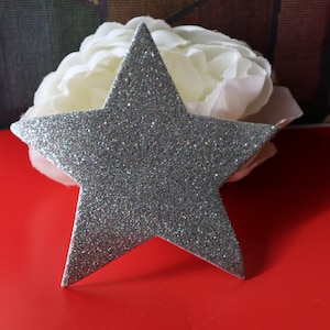May include: A silver glitter star on a red background. The star is a five-pointed star with a slightly textured surface.