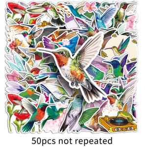 Lot de 50 autocollants en vinyle colibri arc-en-ciel bouteille d'eau, bagage, moto, mur, cahier, bricolage cadeau 5-8 cm