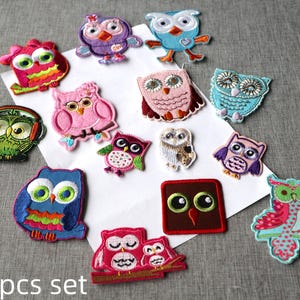 May include: A set of fourteen embroidered owl patches in diverse designs and colours. The patches feature details in pink, blue, green, and purple. The text "14pcs set" is visible at the bottom of the image.