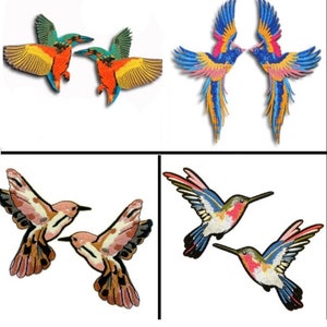 Peut inclure: Ensemble de quatre patchs brodés d'oiseaux. Deux patchs présentent un motif de colibri coloré, un patch présente un motif de colibri rose et brun, et deux patchs présentent un motif de perroquet coloré.