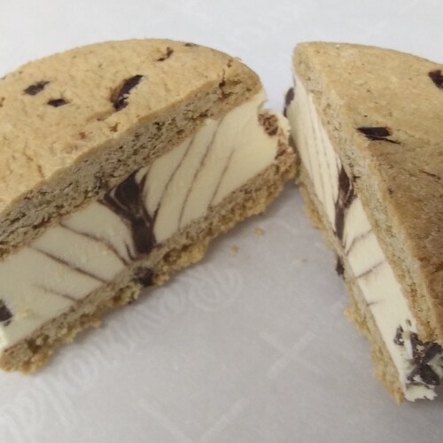 Freeze Dried Chocolate Ice Cream Crunch Bites Amazing Flavor Etsy