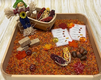 Fall “I Spy” Sensory Bin | Autumn Sensory Bin