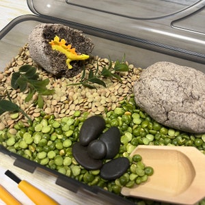 Dinosaur Egg Dig Kit with Mini Sensory Bin | Dinosaur Excavating Eggs