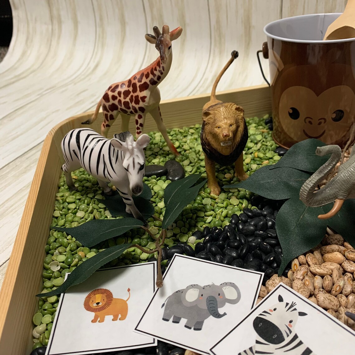 African Safari Animal Sensory Bin Featuring Size Sorting Etsy UK