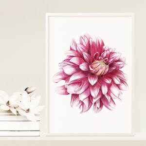 Dahlia Flower Wall Art Print | Flower Illustration | Flower Printable Artwork |Digital Download