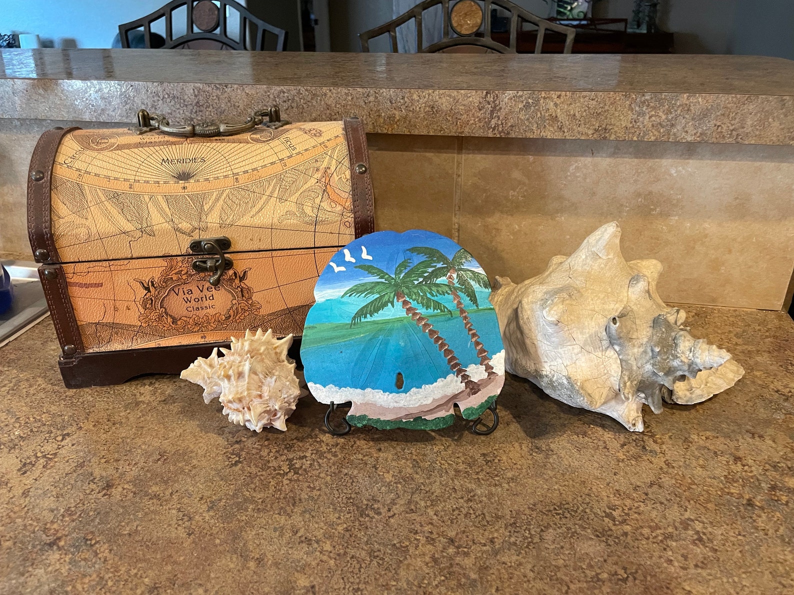 Beach Inspired Hand Painted Sand Dollar Palm Tree Great For Etsy