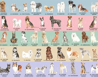 Biglietto di auguri natalizio con cane da slitta, stampabile, scena di neve festiva, acquerello, cane, biglietto Corjl modificabile, download digitale istantaneo - Italia