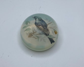 Vintage Archimede Seguro Murano Italy Blue Bird Art Glass Dome Paperweight