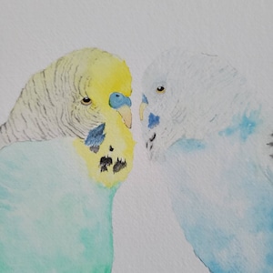 Parakeets| watercolor original 6x6 | &quot;pair of keets&quot; | art gift| birds| budgie| Budgerigar