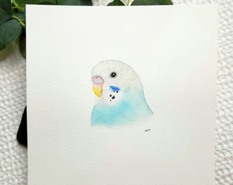 Perruche bleuet - aquarelle ORIGINAL 9 x 9