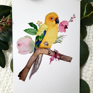 Sun Conure Paradise - 5x7 Art print.