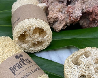 Organic Natural Loofah, Luffa, Vegan Loofah, Loofa, Sponge Exfoliate, Peel, Cellulite, Spa, New Year Gift