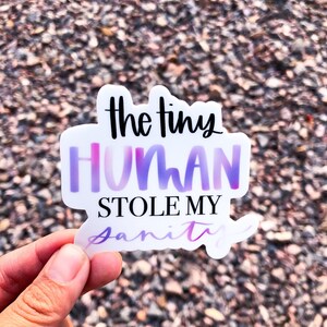 May include: A sticker with a purple and pink gradient design that says "The tiny human stole my sanity".