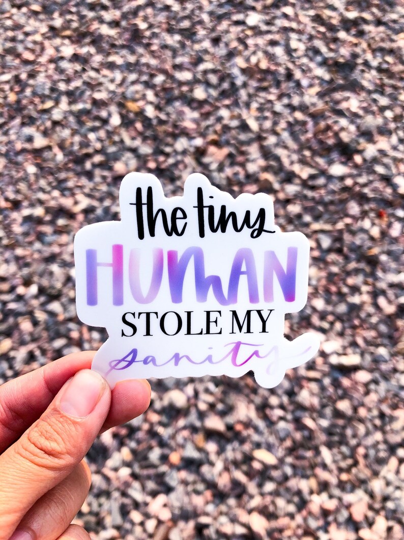 May include: A sticker with a purple and pink gradient design that says "The tiny human stole my sanity".